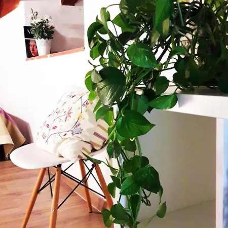 Bolseria Centricos En El Carmen Appartement Valence