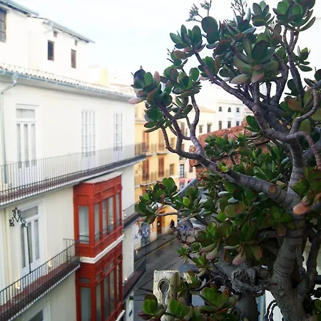 Appartement Bolseria Centricos En El Carmen